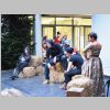 P6206588.gif