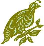 quail - quaglia