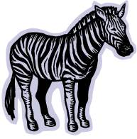 zebra
